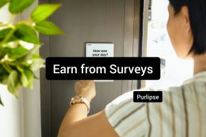 Earn from surveys online business
