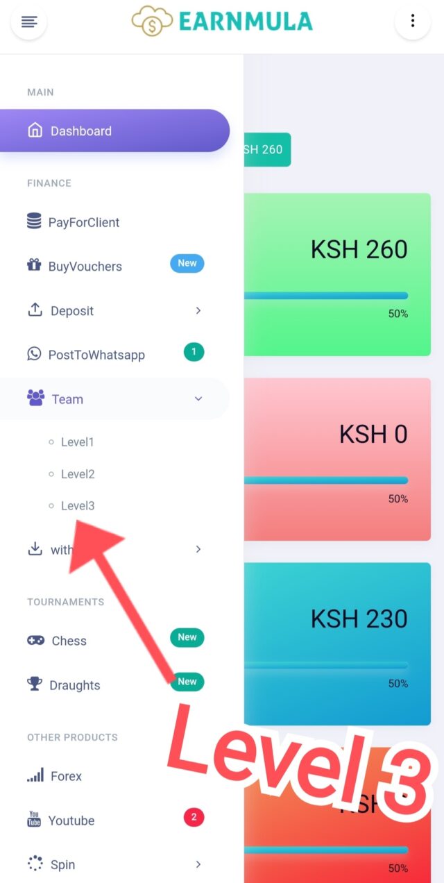 EarnMula Level 3 Earning
