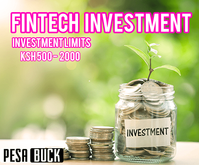Fintech investment amount
