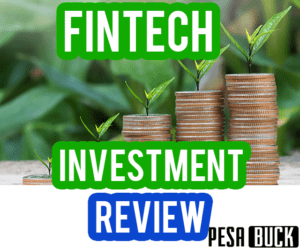 Fintech investment Online business review