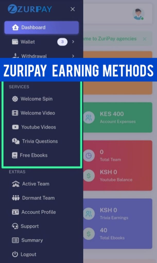 Zuripay Agencies Earning Methods 