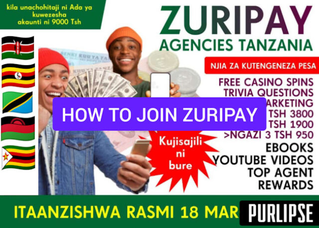 Zuripay Agencies review