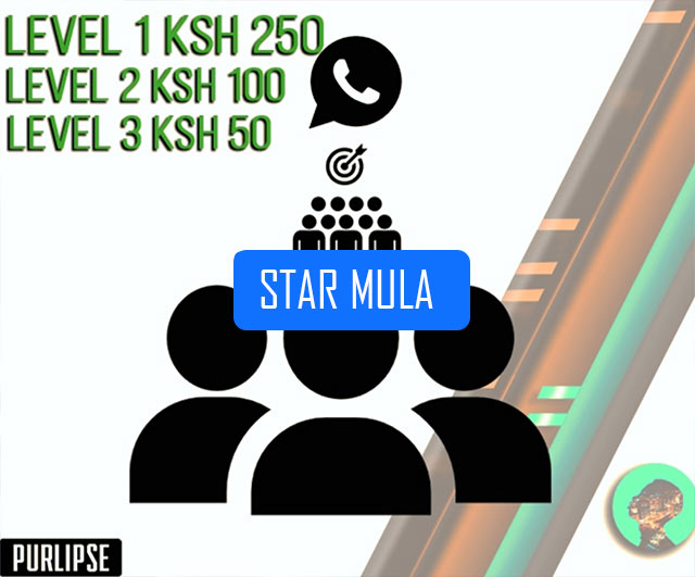 Star Mula Agencies earning levels