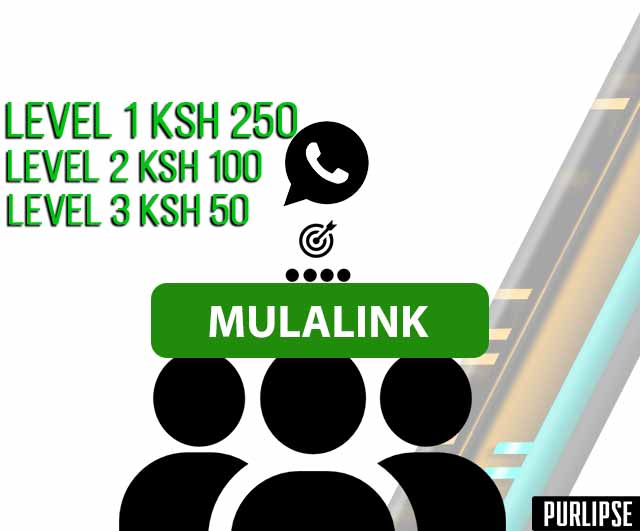 Mulalink earning levels