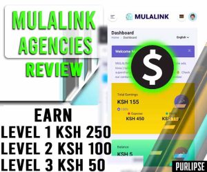 Mulalink agencies review